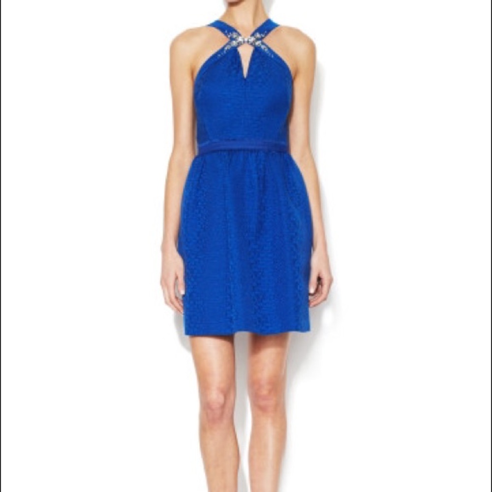 NWT Rebecca Taylor dress
